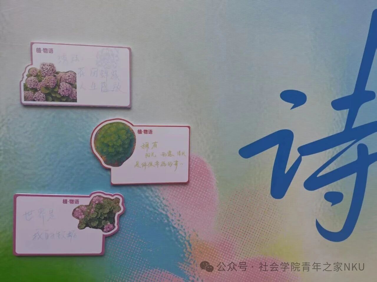 yl7703永利